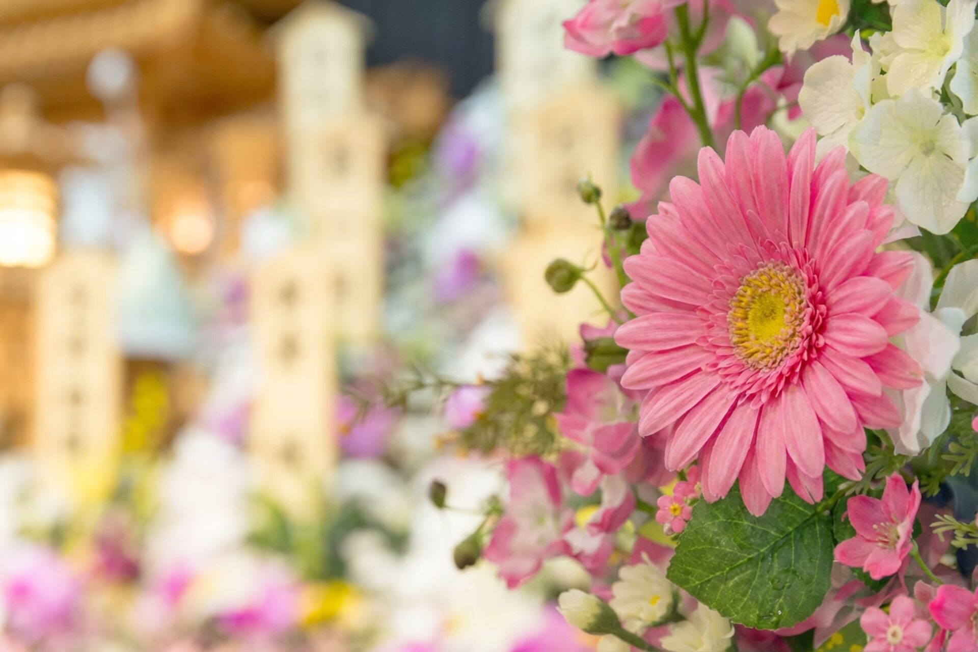 pr紹介文のメイン画像